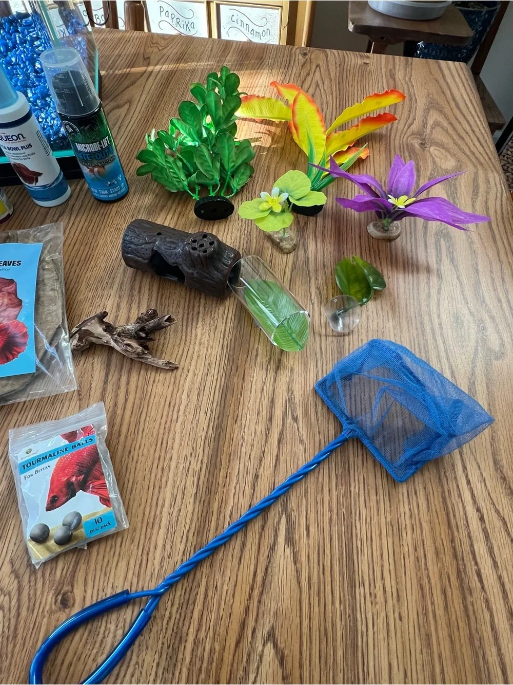 3 gallon aquarium kit